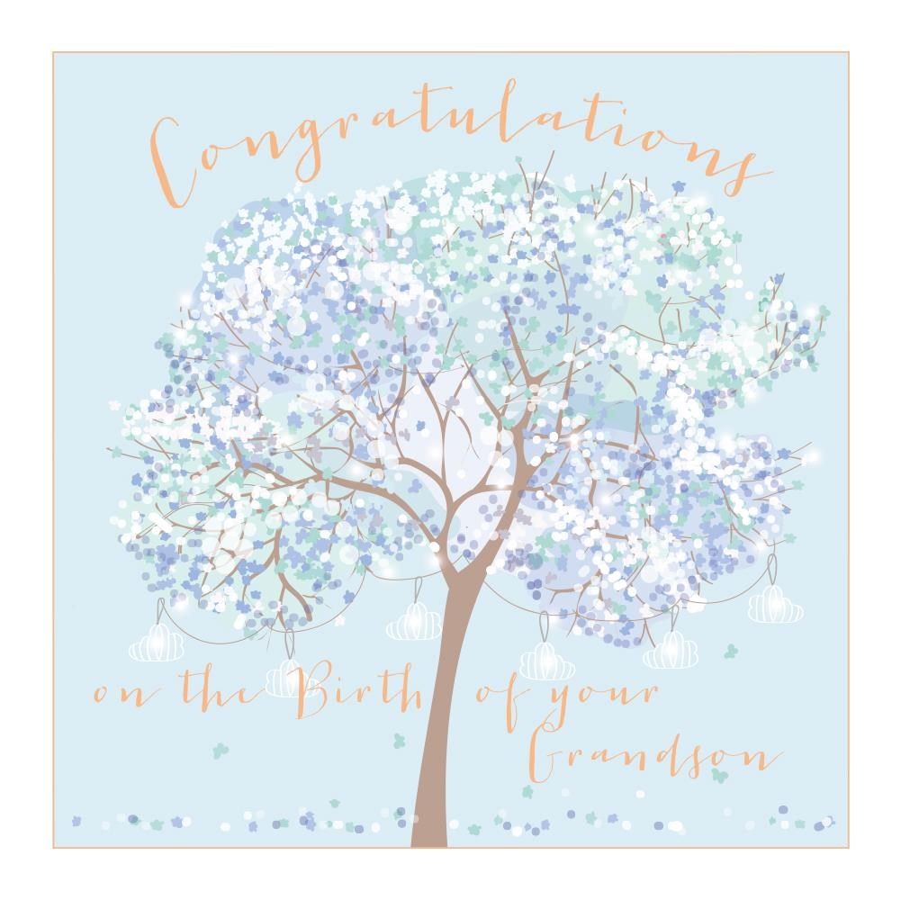 Birth Of Your Grandson Card
