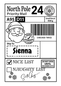 Personalised North Pole Delivery Label | Christmas Santa Sticker (2 Labels)