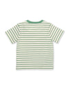 Kite Clothing Dino Friends Boys T-shirt Dinosaur Sage Green Stripy Top | New Season