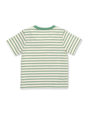 Kite Clothing Dino Friends Boys T-shirt Dinosaur Sage Green Stripy Top | New Season