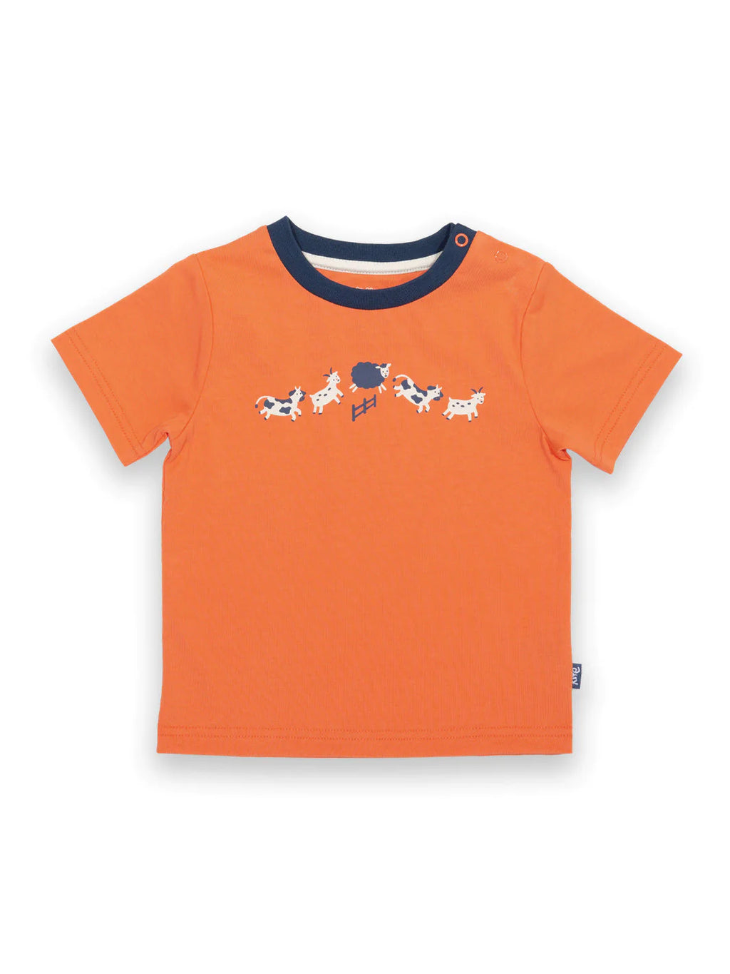 Kite Boys Farm Fun T-shirt Orange | New Season