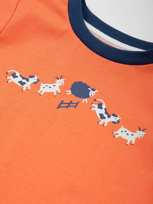 Kite Boys Farm Fun T-shirt Orange | New Season
