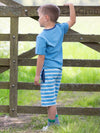 Kite Clothing Boys Blue Stripy Corfe Shorts | New Season